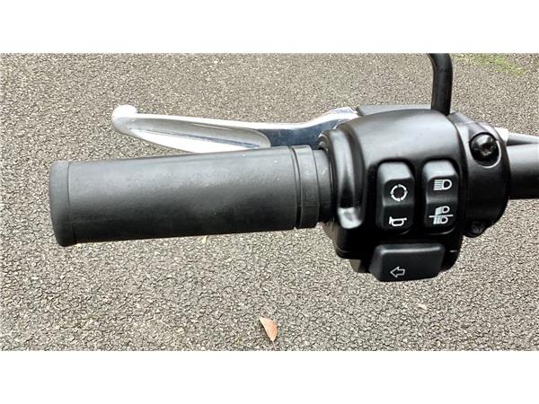 2020 Harley-Davidson Softail