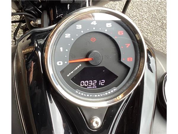 2020 Harley-Davidson Softail