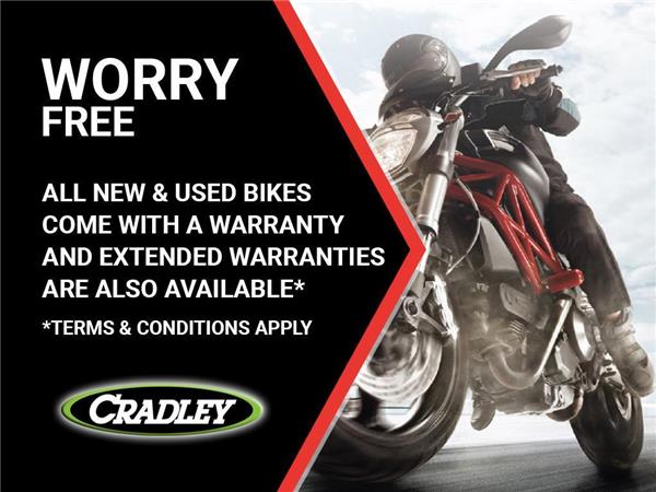 2025 Kawasaki Versys 1100