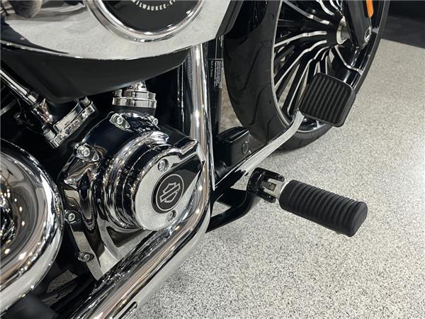 2025 Harley-Davidson Softail