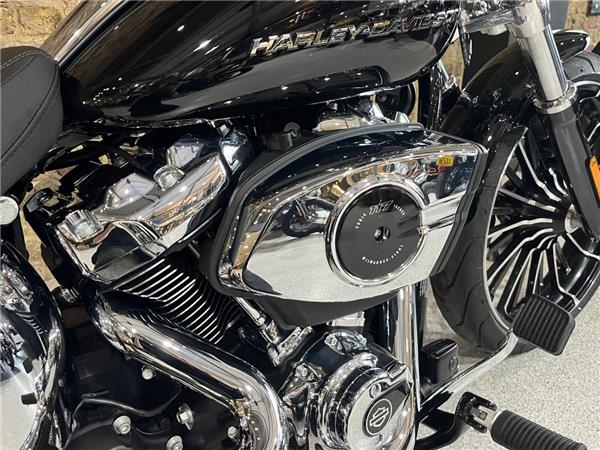 2025 Harley-Davidson Softail