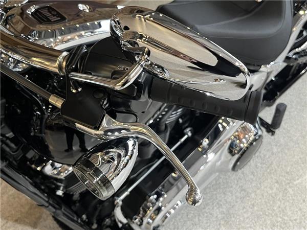 2025 Harley-Davidson Softail