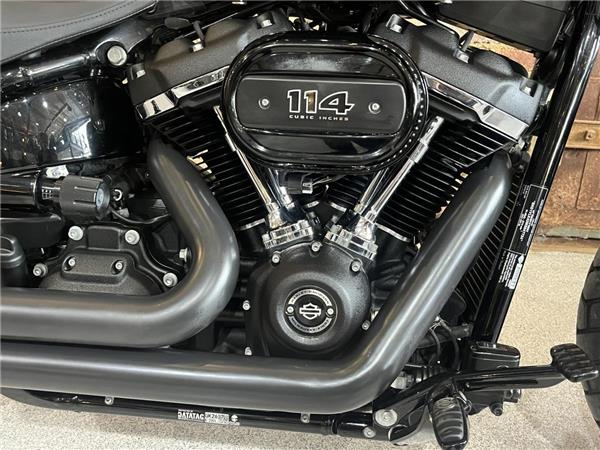 2021 Harley-Davidson Softail