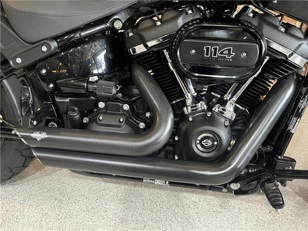 2021 Harley-Davidson Softail