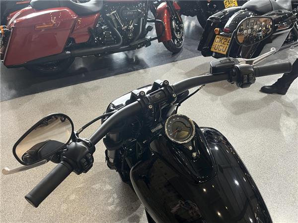 2021 Harley-Davidson Softail