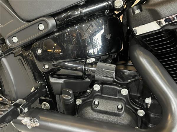 2021 Harley-Davidson Softail