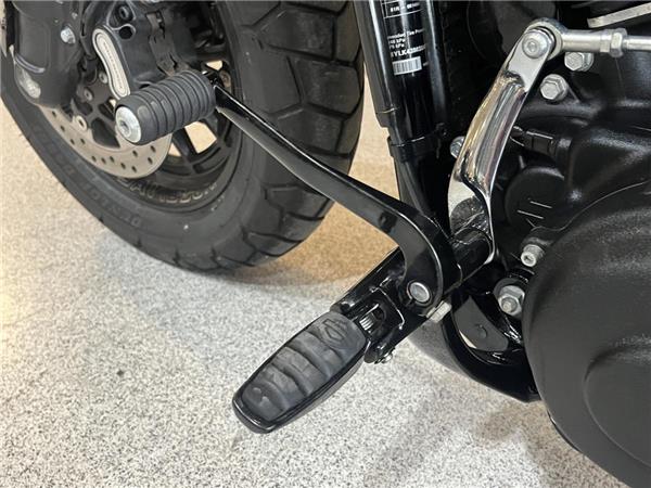 2021 Harley-Davidson Softail