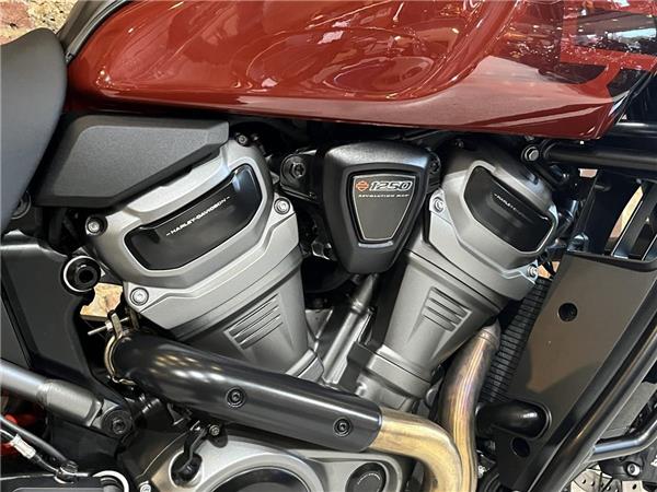 2025 Harley-Davidson Pan America Special