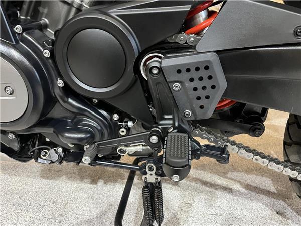 2025 Harley-Davidson Pan America Special