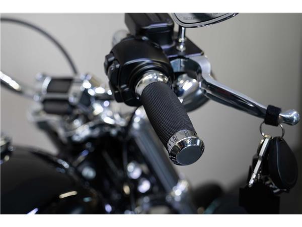 2024 harley-davidson FXST Softail Standard 107