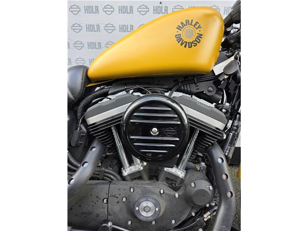 2019 HARLEY-DAVIDSON IRON