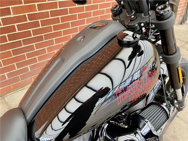 2025 HARLEY-DAVIDSON LOW RIDER S