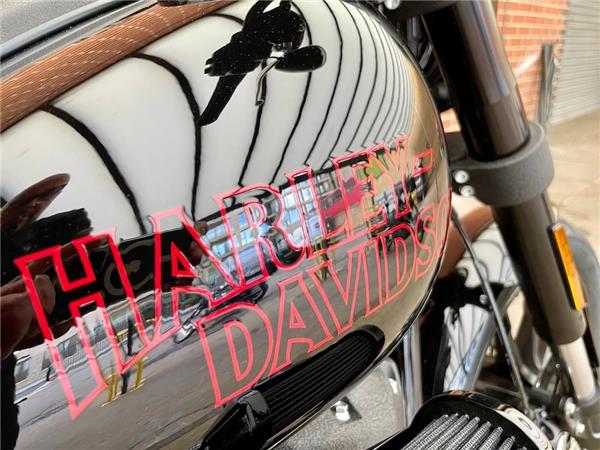 2025 HARLEY-DAVIDSON LOW RIDER S