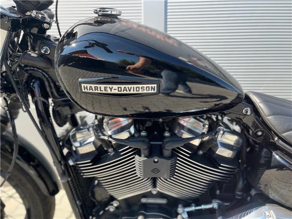 2025 Harley-Davidson Street Bob 117
