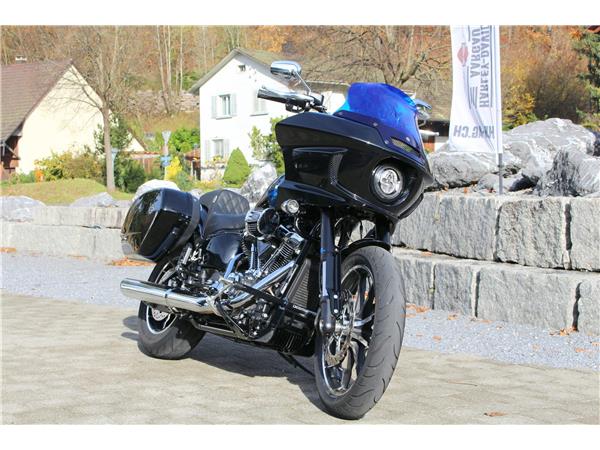 2025 harley-davidson FXLRST Low Rider ST 117