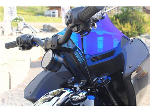 2025 harley-davidson FXLRST Low Rider ST 117