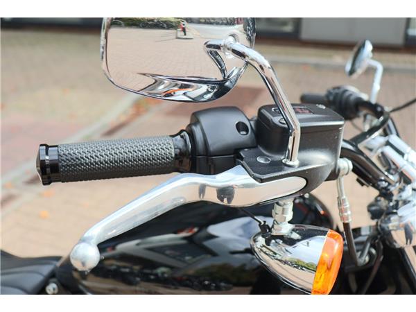 2023 HARLEY-DAVIDSON SOFTAIL STANDARD