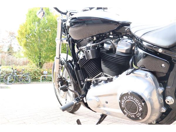 2023 HARLEY-DAVIDSON SOFTAIL STANDARD