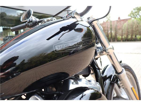 2023 HARLEY-DAVIDSON SOFTAIL STANDARD