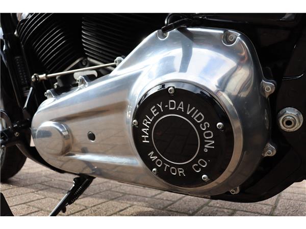 2023 HARLEY-DAVIDSON SOFTAIL STANDARD