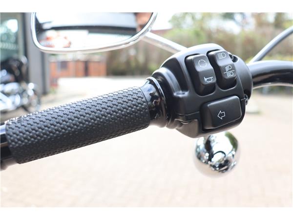 2023 HARLEY-DAVIDSON SOFTAIL STANDARD