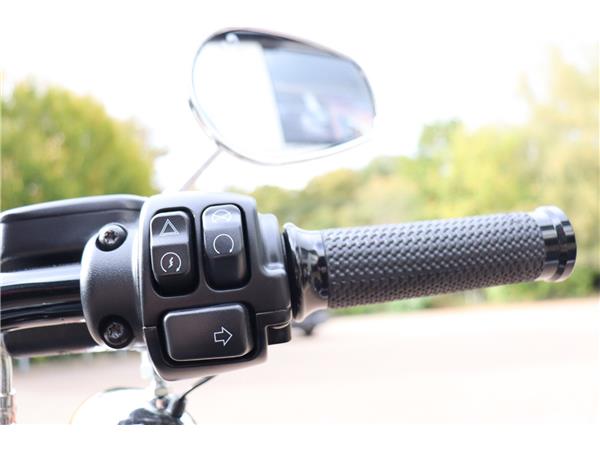 2023 HARLEY-DAVIDSON SOFTAIL STANDARD