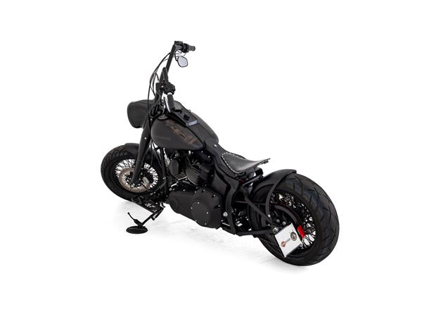 2015 harley-davidson FLSTFB Fat Boy Special ABS
