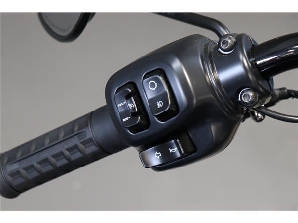 2025 HARLEY-DAVIDSON SOFTAIL FLHC HERITAGE CLASSIC