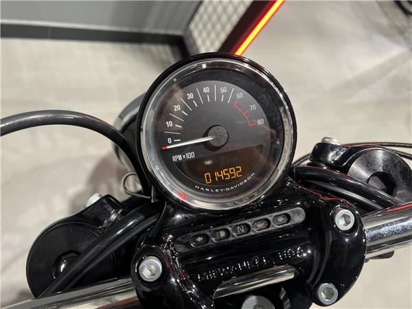 2020 HARLEY-DAVIDSON ROADSTER
