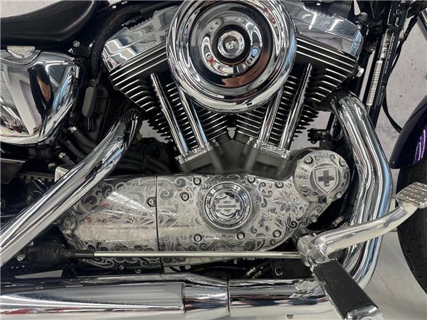 2014 harley-davidson XL 1200 V Sportster Seventy Two