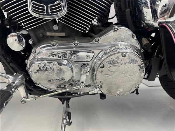 2014 harley-davidson XL 1200 V Sportster Seventy Two