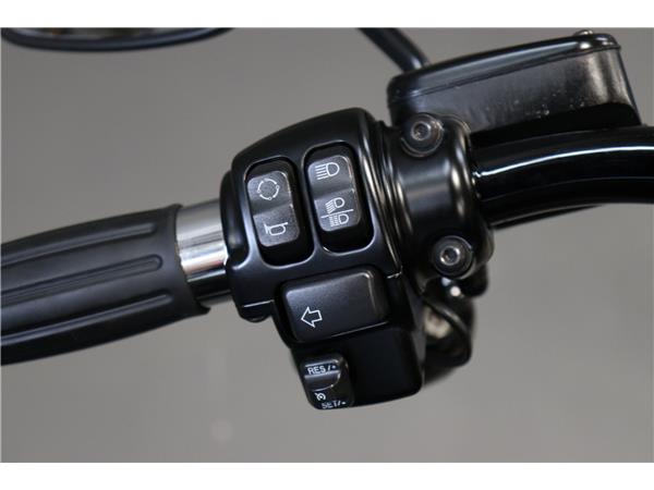 2016 HARLEY-DAVIDSON SOFTAIL FLSS SLIM S