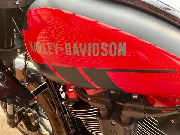 2025 HARLEY-DAVIDSON LOW RIDER ST