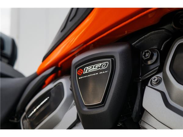 2022 Harley-Davidson Pan America Special