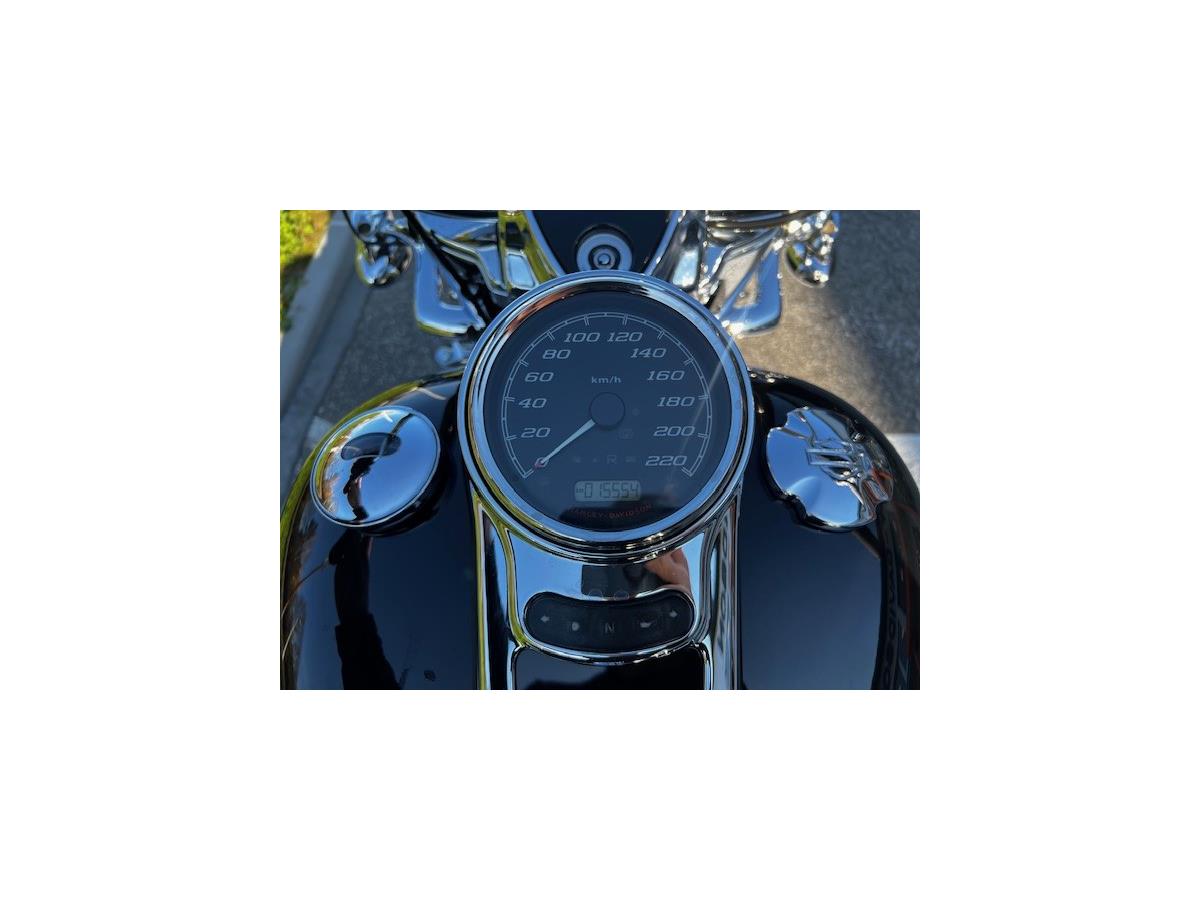 2018 HARLEY-DAVIDSON FREEWHEELER