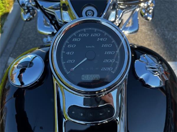 2018 HARLEY-DAVIDSON FREEWHEELER