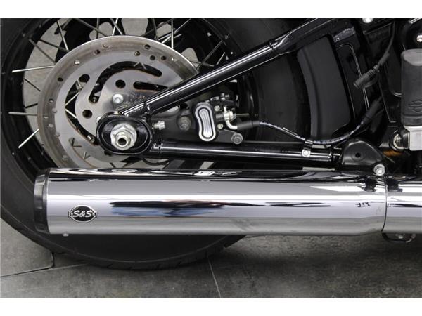 2025 Harley-Davidson Street Bob