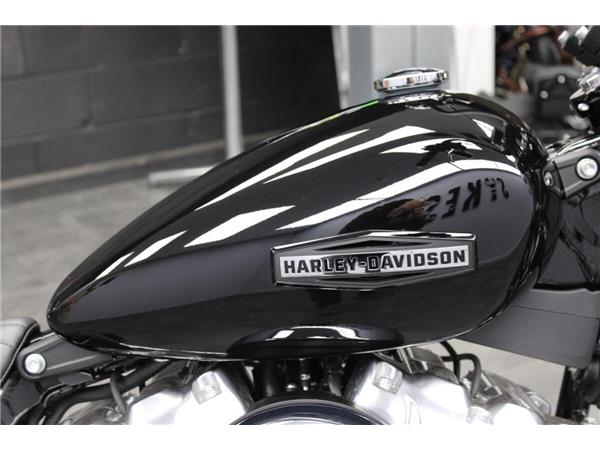 2025 Harley-Davidson Street Bob