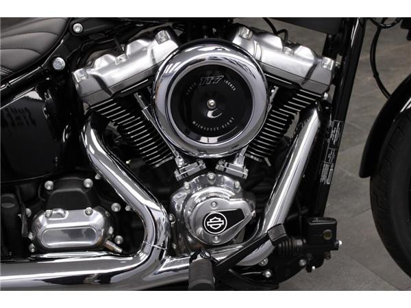 2025 Harley-Davidson Street Bob