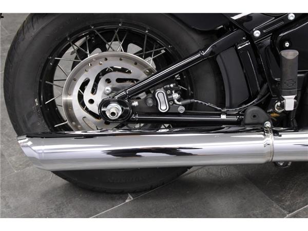 2025 Harley-Davidson Street Bob