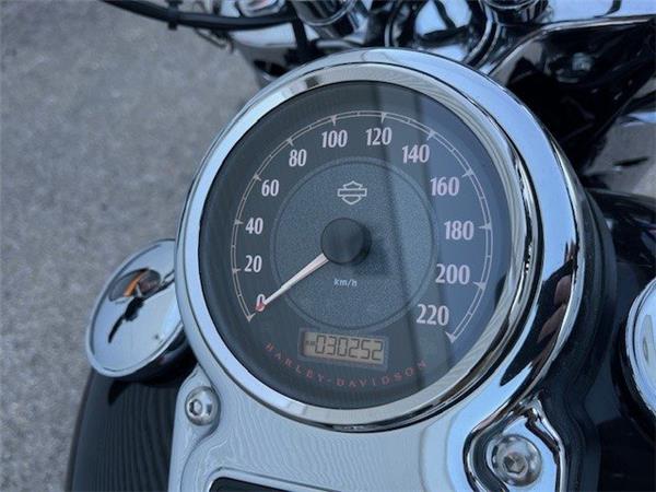 2012 Harley-Davidson Dyna Switchback  FLD