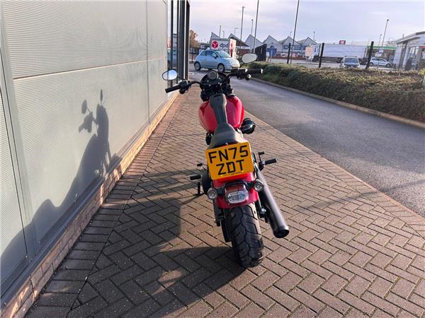 2025 HARLEY-DAVIDSON Softail