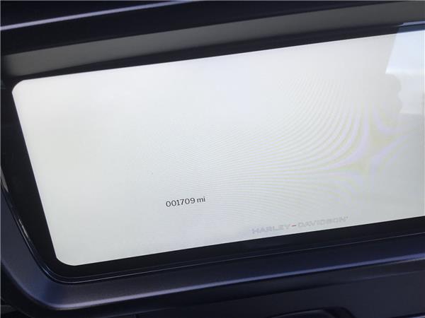 2025 HARLEY-DAVIDSON TOURING FLHX STREET GLIDE