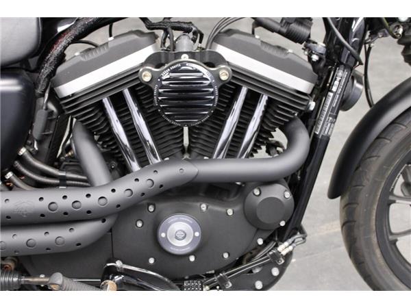 2015 Harley-Davidson Iron 883