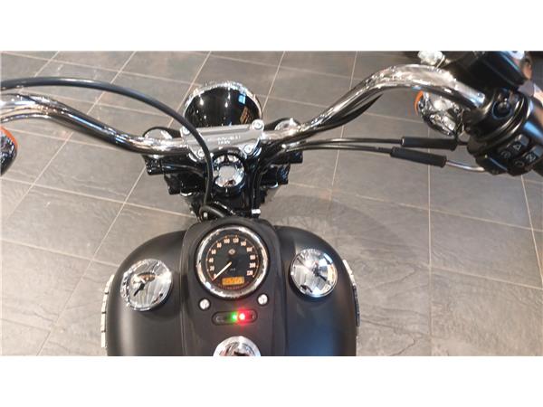 Harley-Davidson Dyna