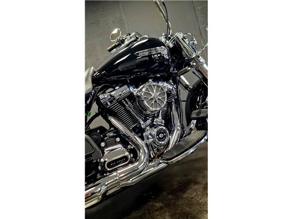 2019 HARLEY-DAVIDSON FREEWHEELER