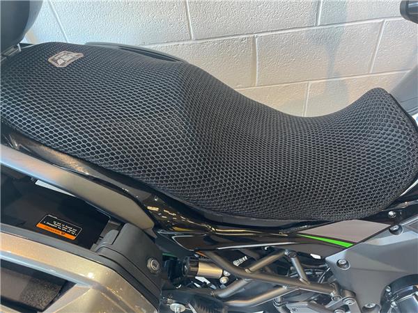 2025 Kawasaki Versys 1100