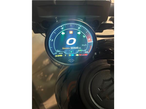 2024 HARLEY-DAVIDSON NIGHTSTER