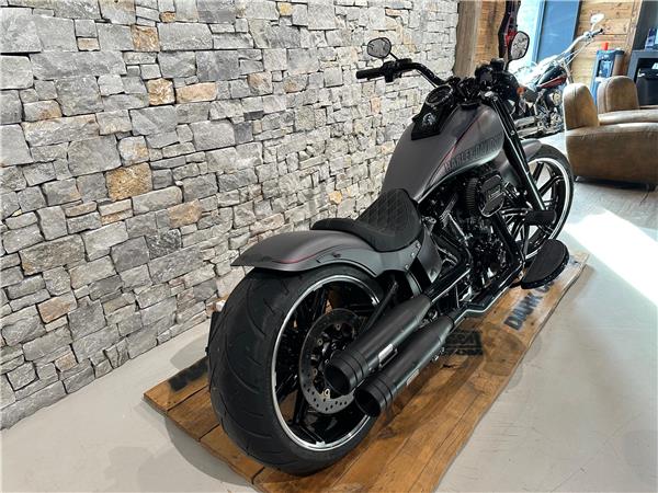 2017 harley-davidson Fatboy Special Custom