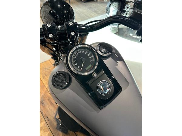 2017 harley-davidson Fatboy Special Custom